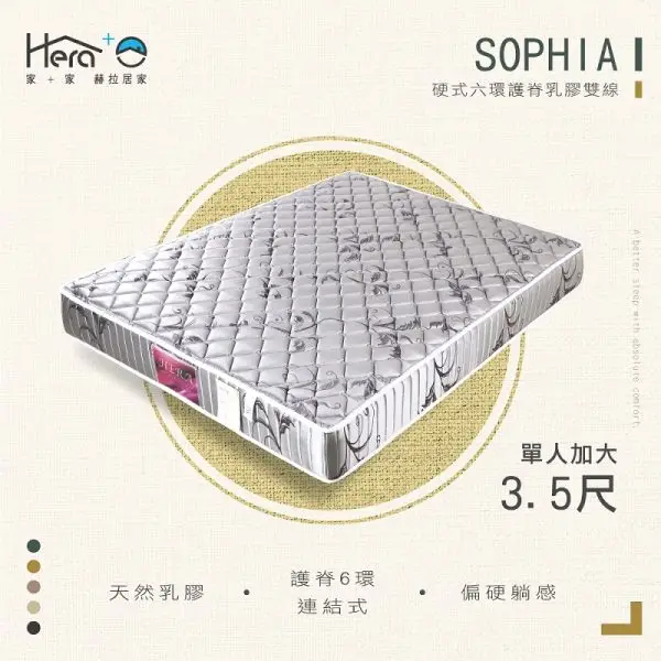 Sophia蘇菲亞 硬式護脊乳膠雙線